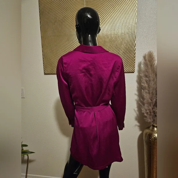 Fashion Nova Plunging Neck Mini Dress - Picture 4 of 6